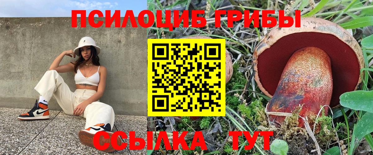 Псилоцибиновые грибы Psilocybe  Вход с VPN  Крымск  Псилоцибиновые грибы Psilocybe 